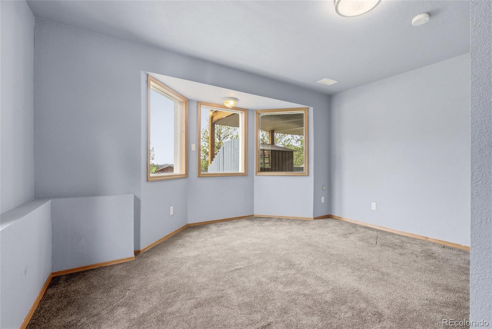 MLS Image #17 for 73  sunlight lane,bailey, Colorado