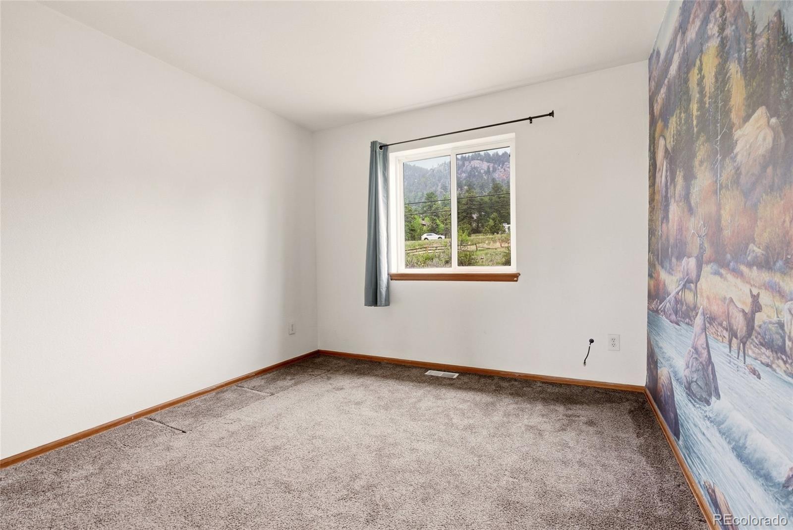 MLS Image #25 for 73  sunlight lane,bailey, Colorado