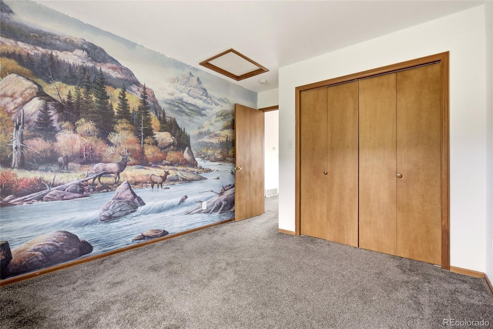 MLS Image #26 for 73  sunlight lane,bailey, Colorado