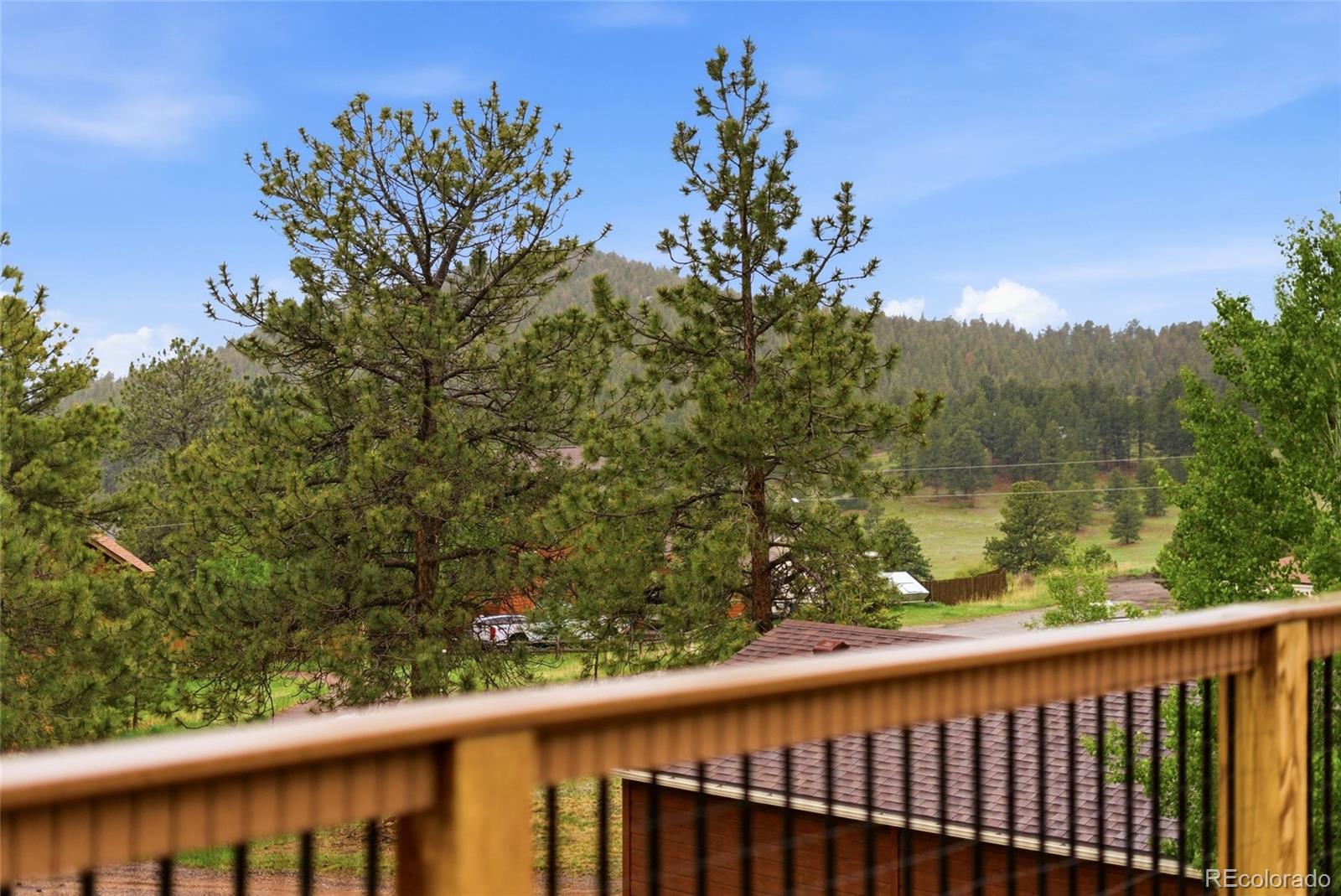 MLS Image #38 for 73  sunlight lane,bailey, Colorado