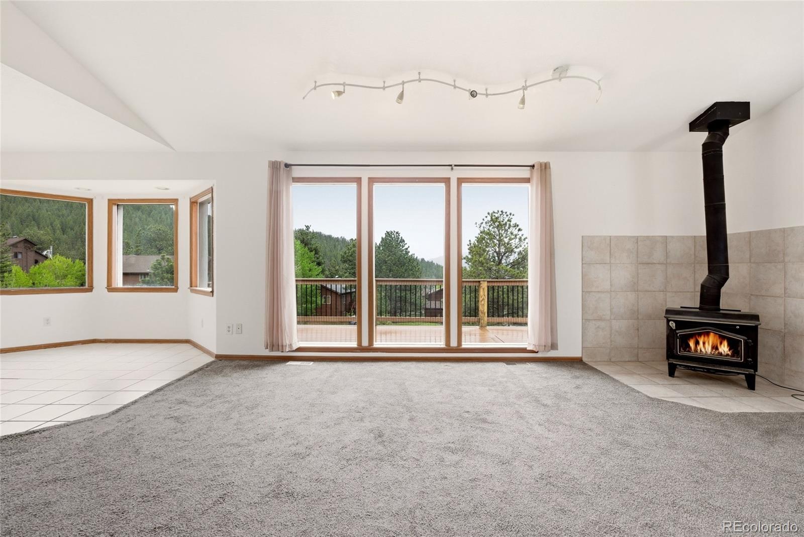 MLS Image #8 for 73  sunlight lane,bailey, Colorado