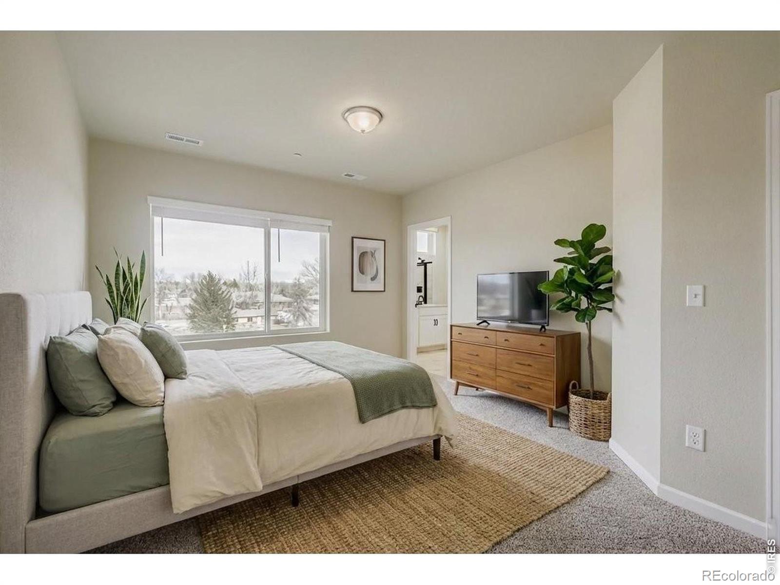 MLS Image #15 for 1003  schlagel street,fort collins, Colorado