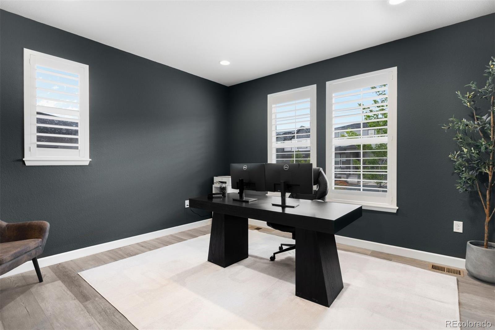 MLS Image #11 for 8927  swan river street,littleton, Colorado
