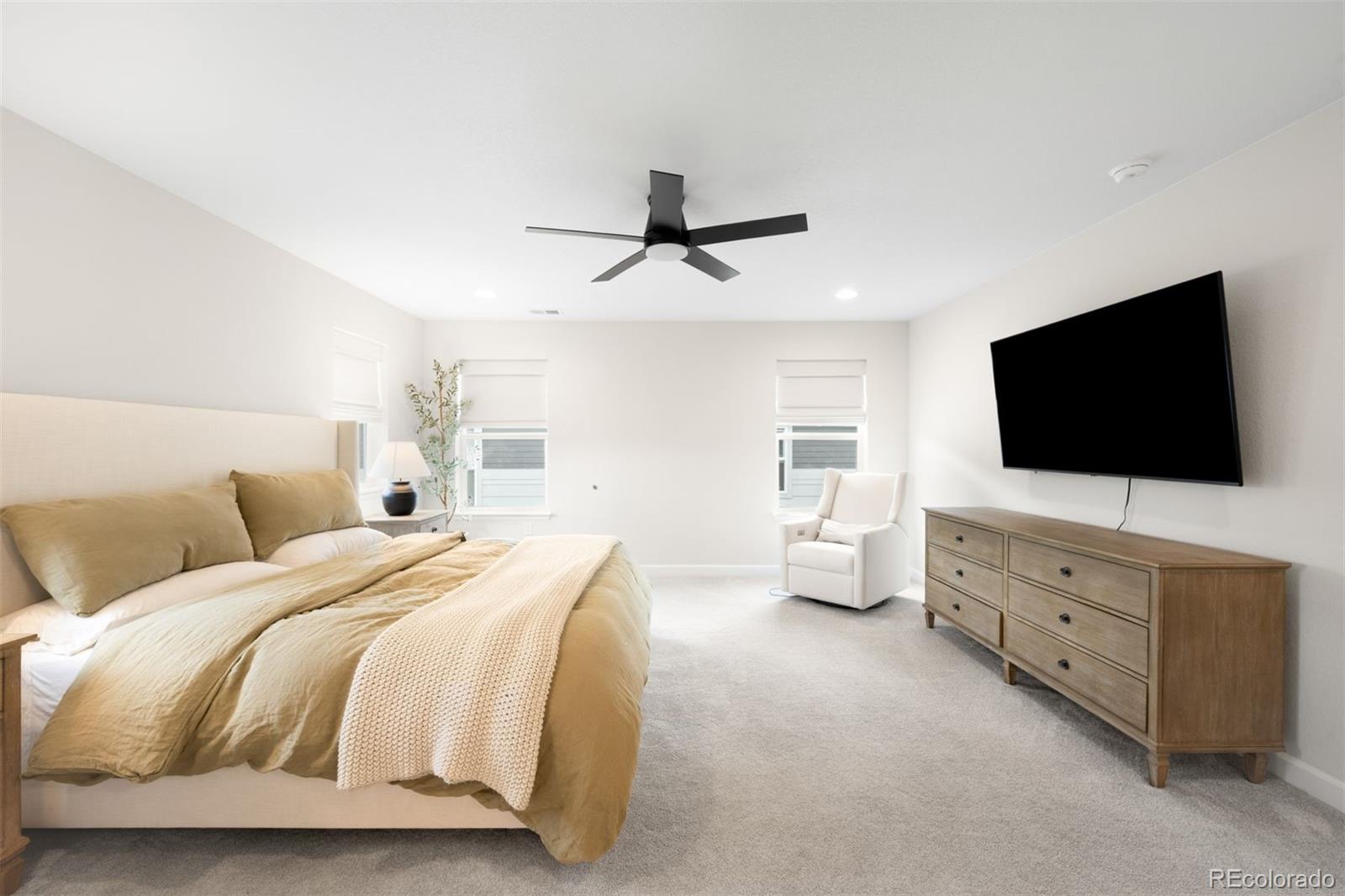 MLS Image #13 for 8927  swan river street,littleton, Colorado