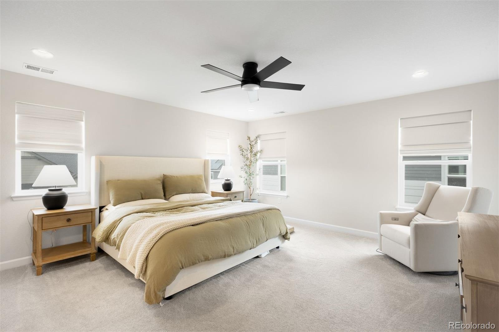 MLS Image #14 for 8927  swan river street,littleton, Colorado