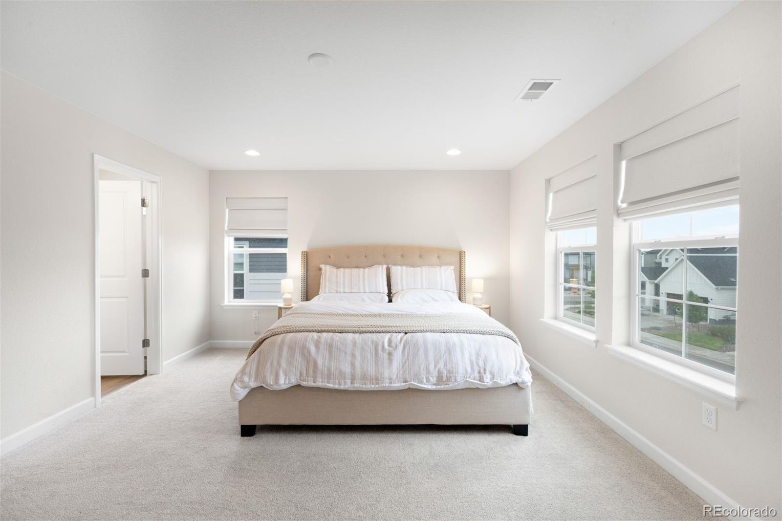 MLS Image #19 for 8927  swan river street,littleton, Colorado