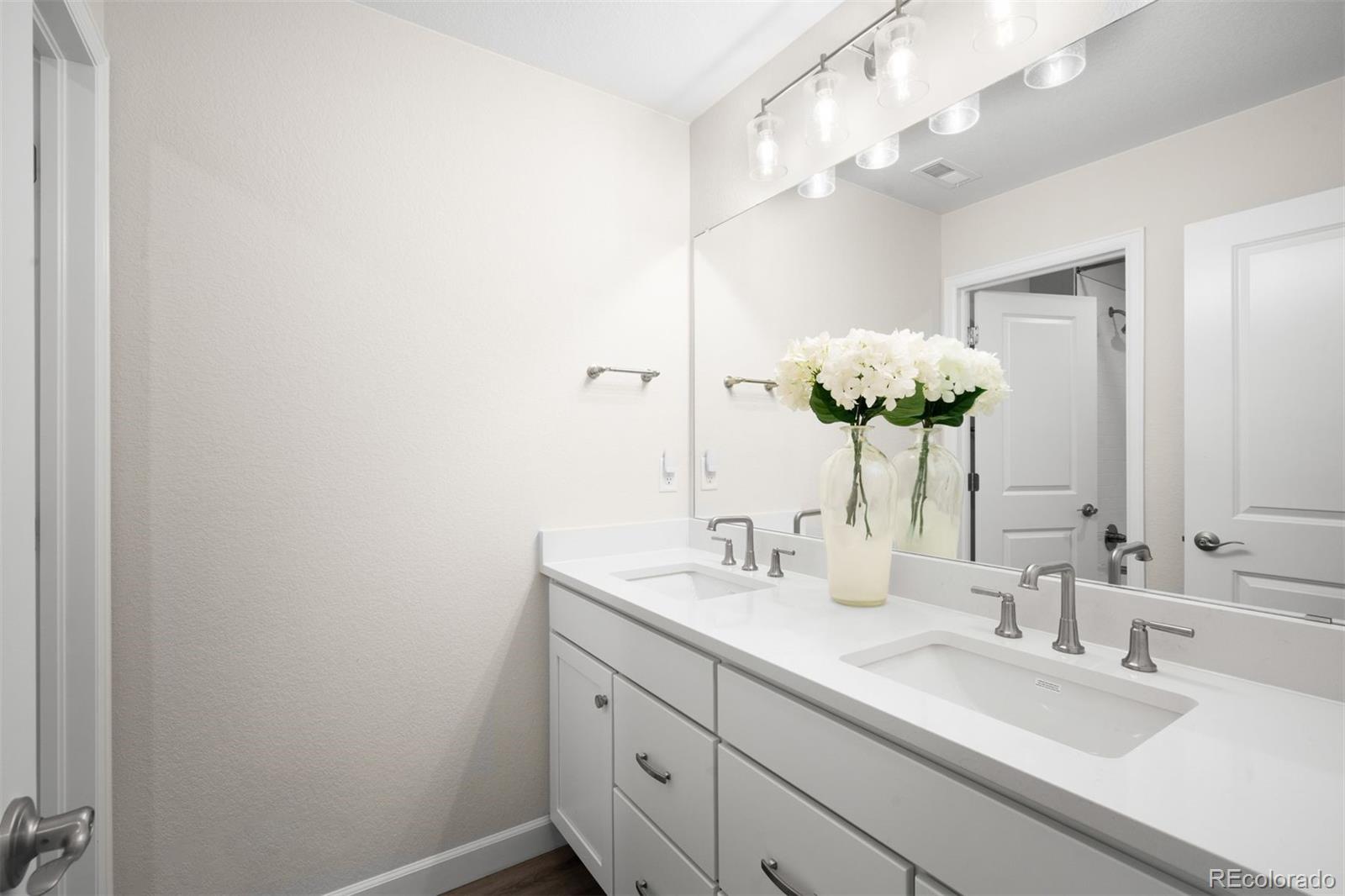MLS Image #25 for 8927  swan river street,littleton, Colorado