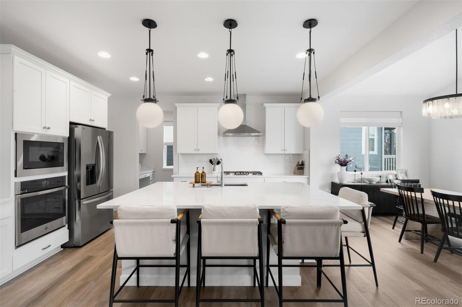 MLS Image #3 for 8927  swan river street,littleton, Colorado