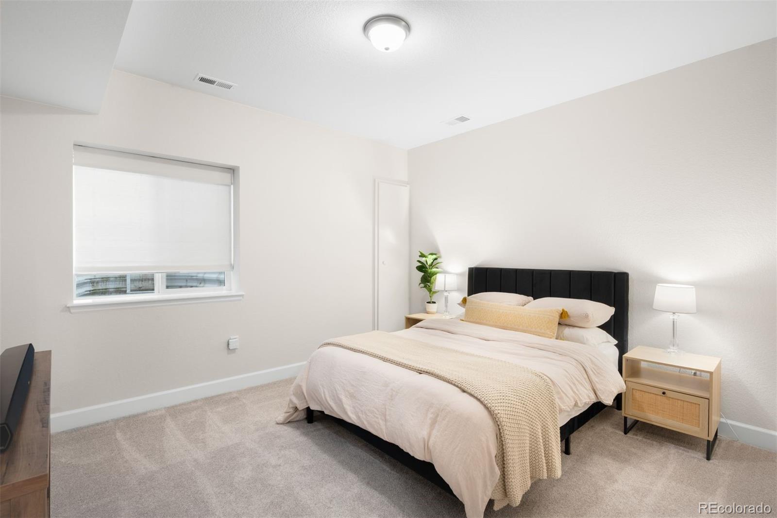 MLS Image #30 for 8927  swan river street,littleton, Colorado