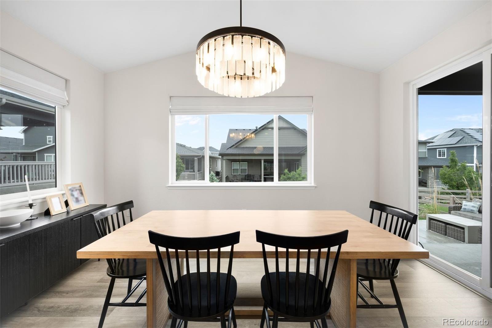 MLS Image #7 for 8927  swan river street,littleton, Colorado