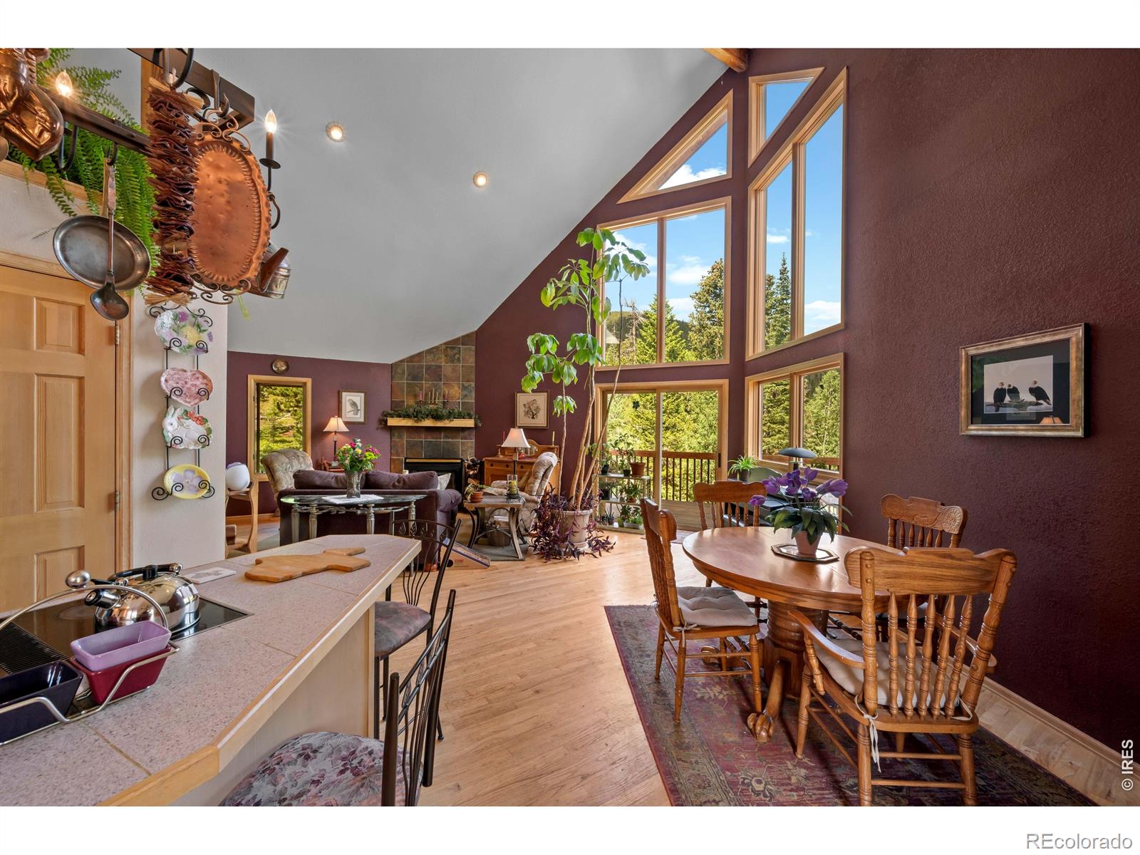 MLS Image #14 for 518  meadow mountain drive,allenspark, Colorado