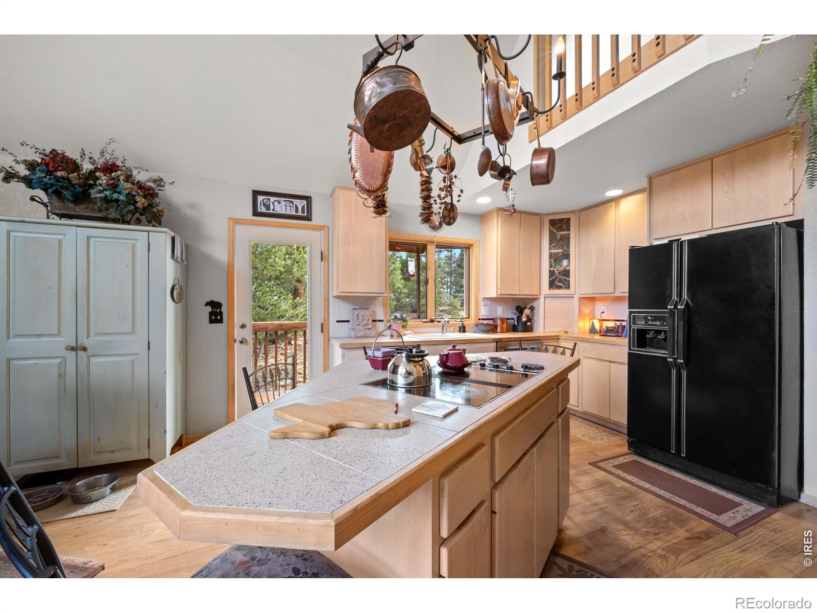 MLS Image #15 for 518  meadow mountain drive,allenspark, Colorado