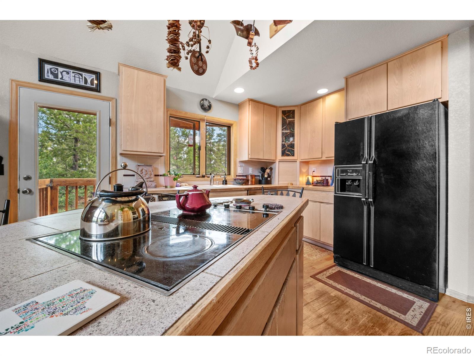 MLS Image #18 for 518  meadow mountain drive,allenspark, Colorado