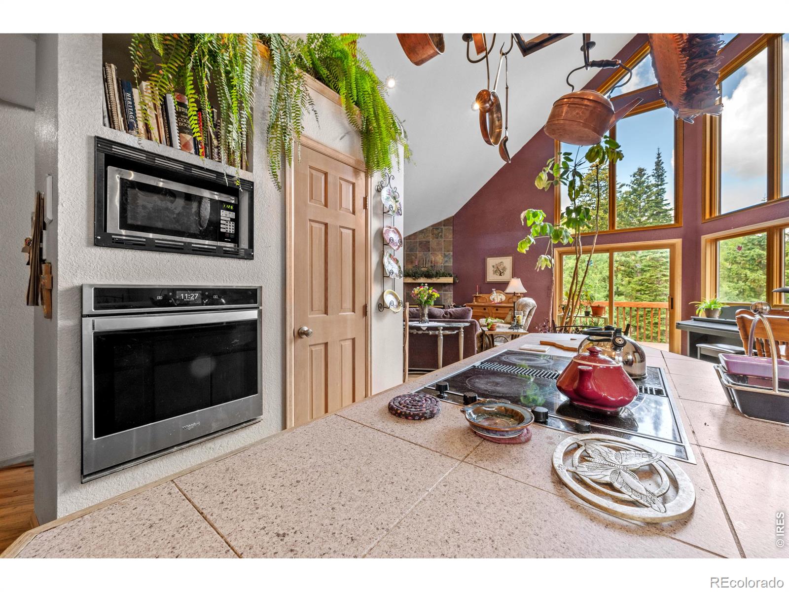 MLS Image #21 for 518  meadow mountain drive,allenspark, Colorado