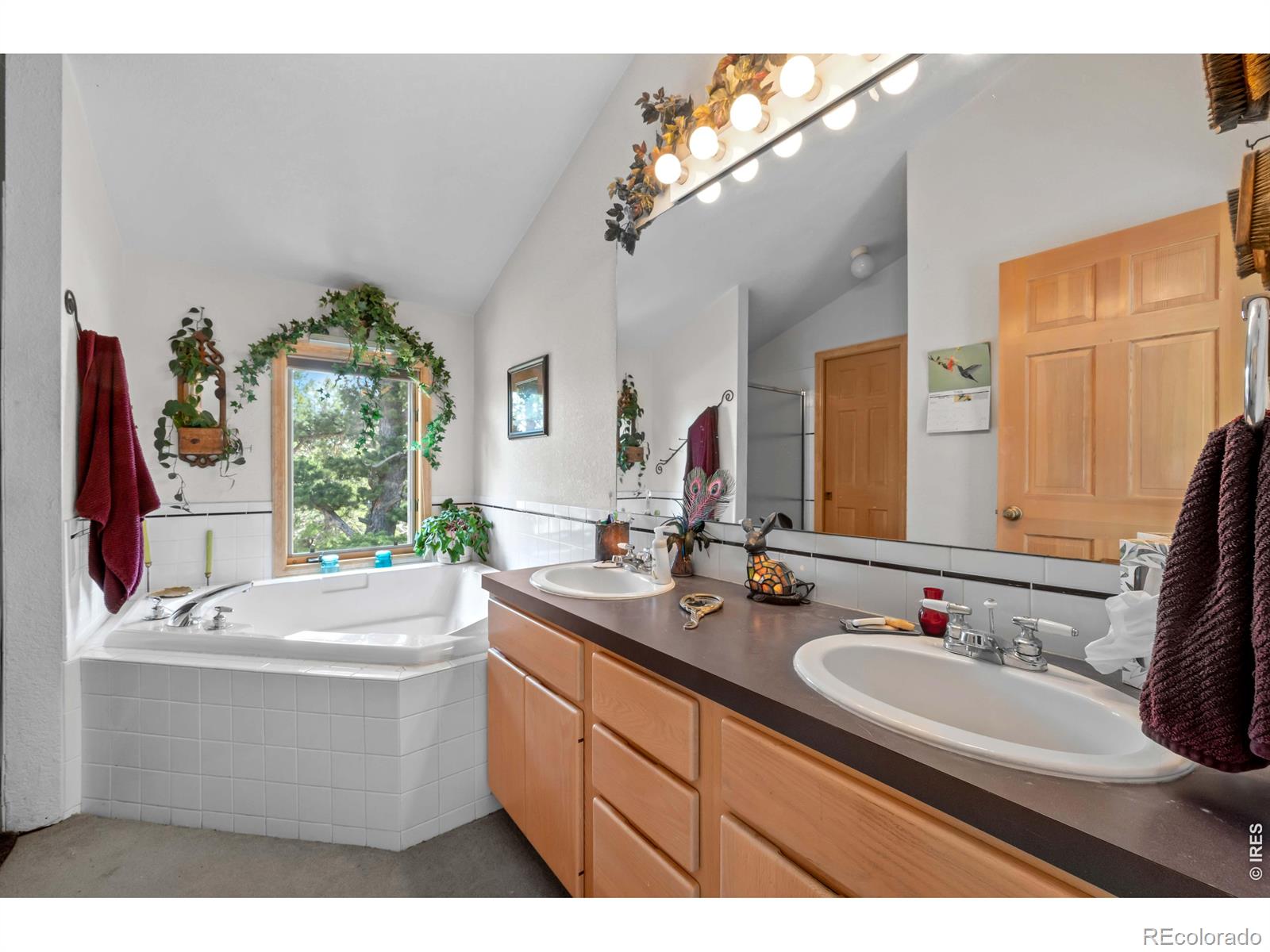 MLS Image #27 for 518  meadow mountain drive,allenspark, Colorado