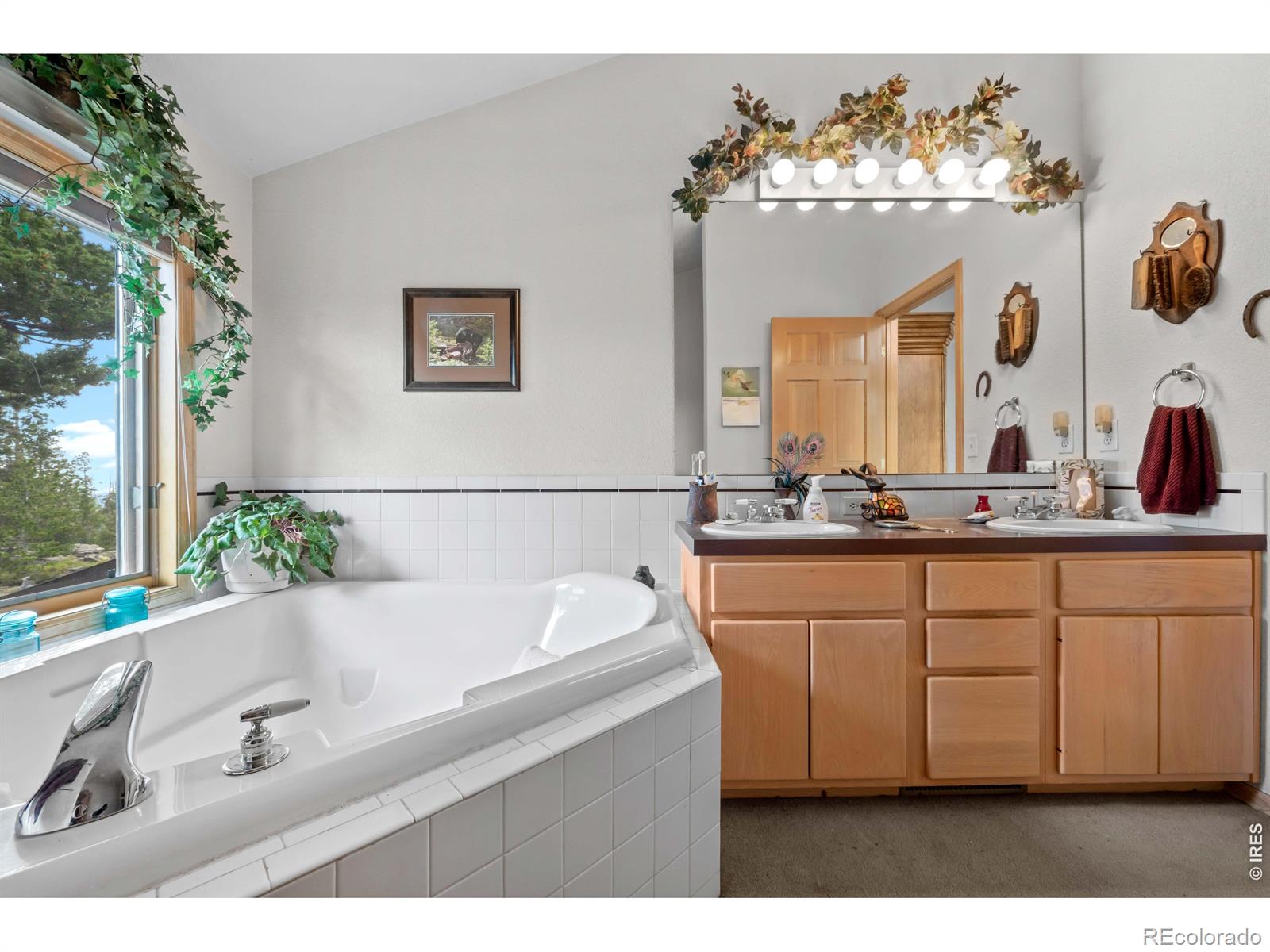 MLS Image #28 for 518  meadow mountain drive,allenspark, Colorado