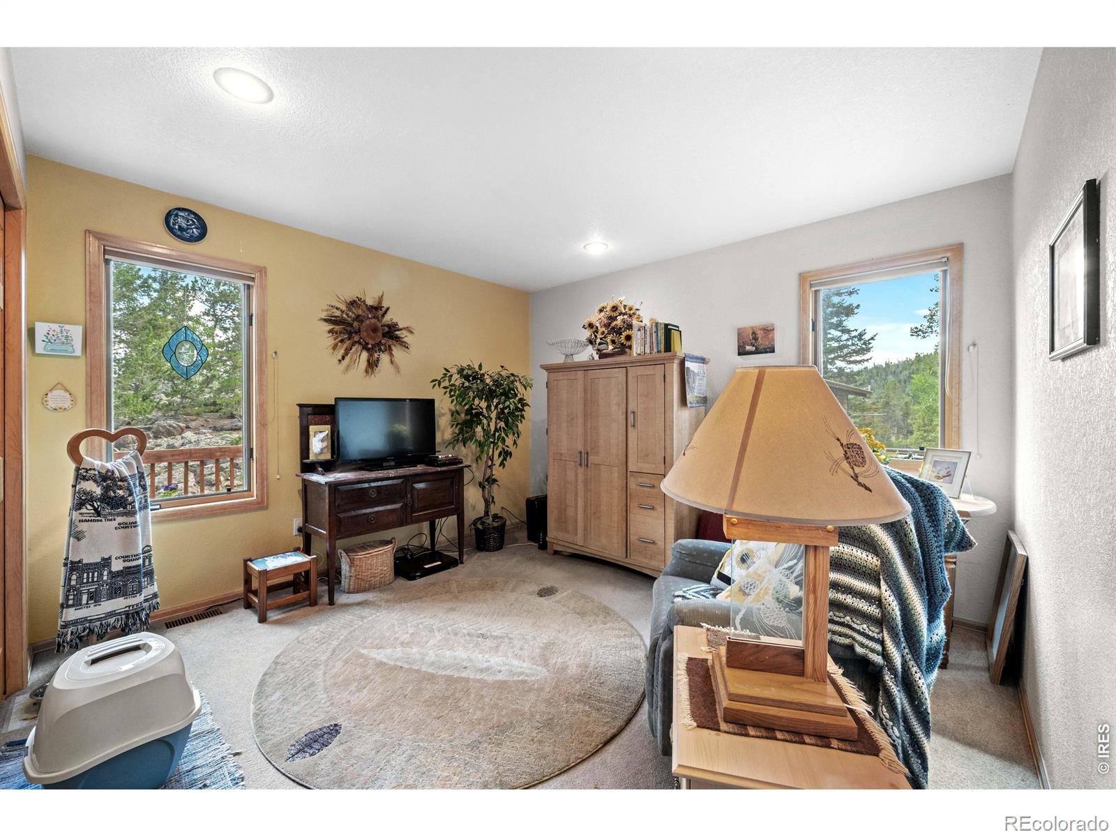 MLS Image #34 for 518  meadow mountain drive,allenspark, Colorado