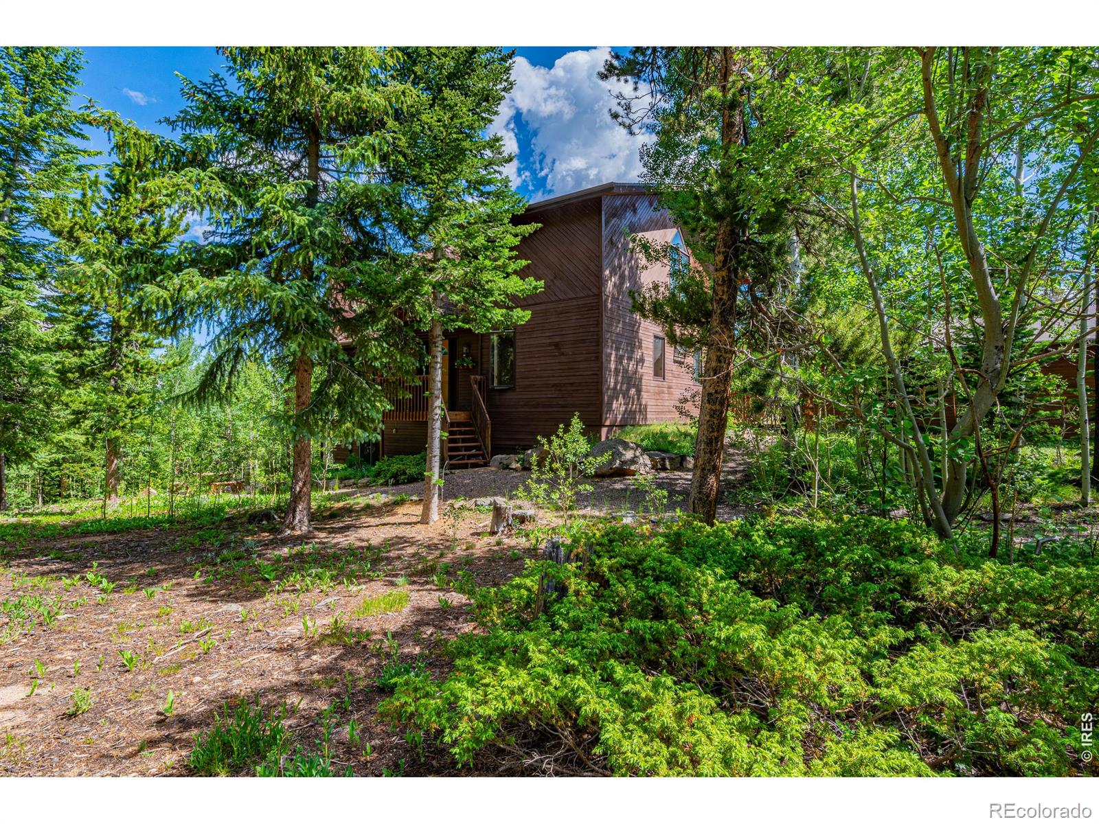 MLS Image #4 for 518  meadow mountain drive,allenspark, Colorado