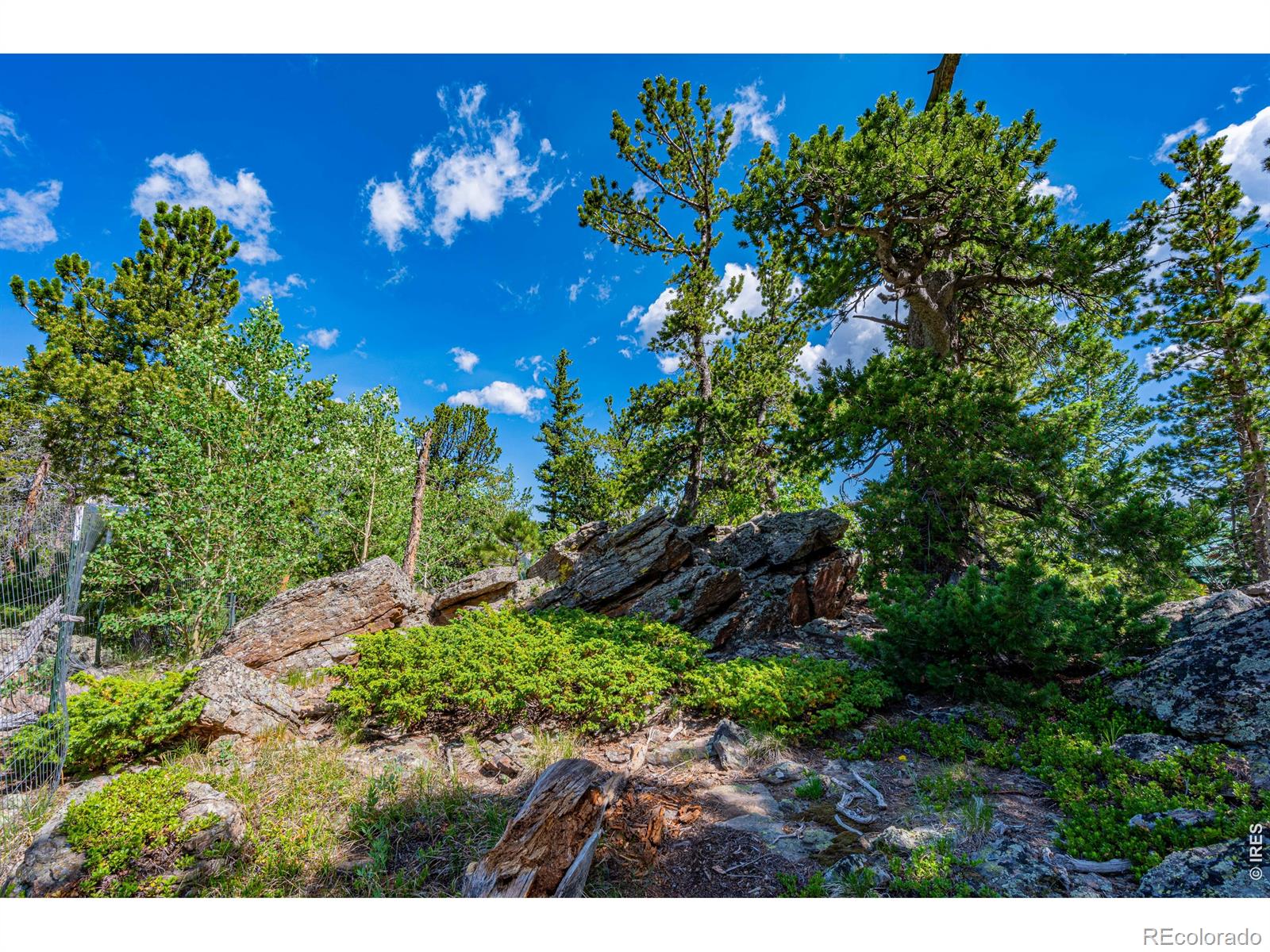 MLS Image #46 for 518  meadow mountain drive,allenspark, Colorado