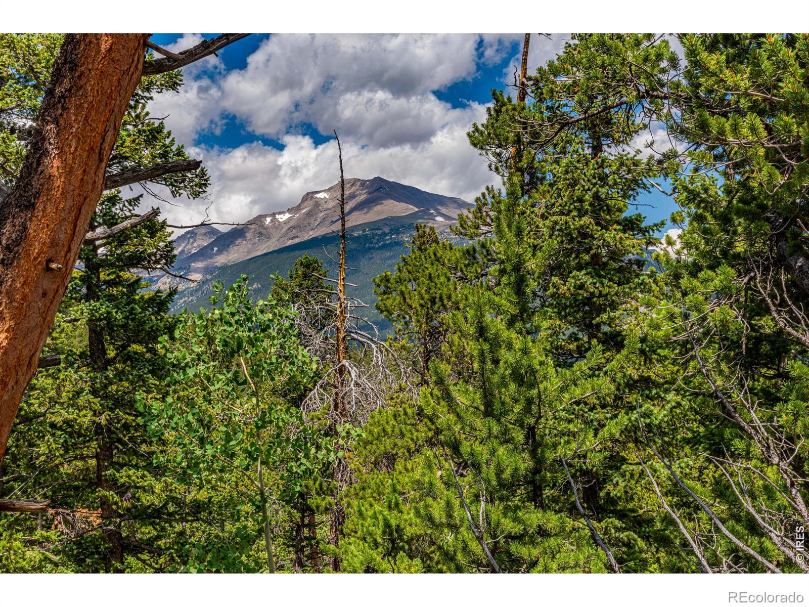 MLS Image #47 for 518  meadow mountain drive,allenspark, Colorado