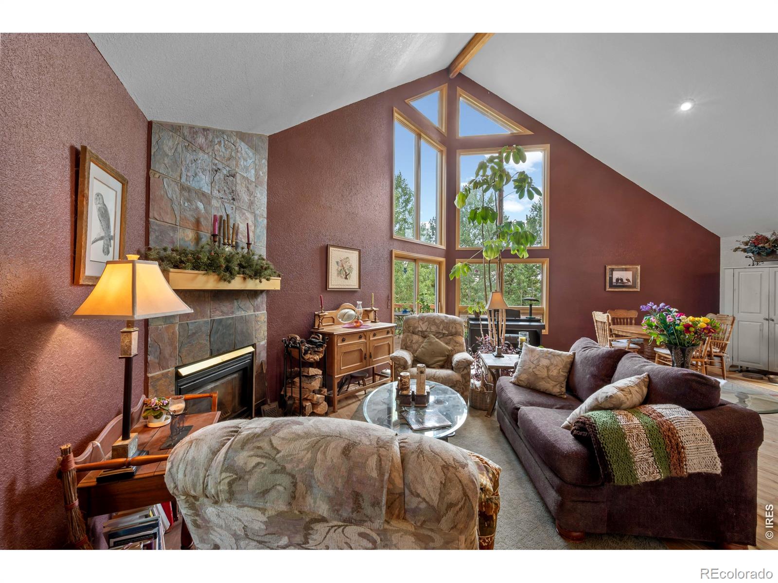 MLS Image #8 for 518  meadow mountain drive,allenspark, Colorado