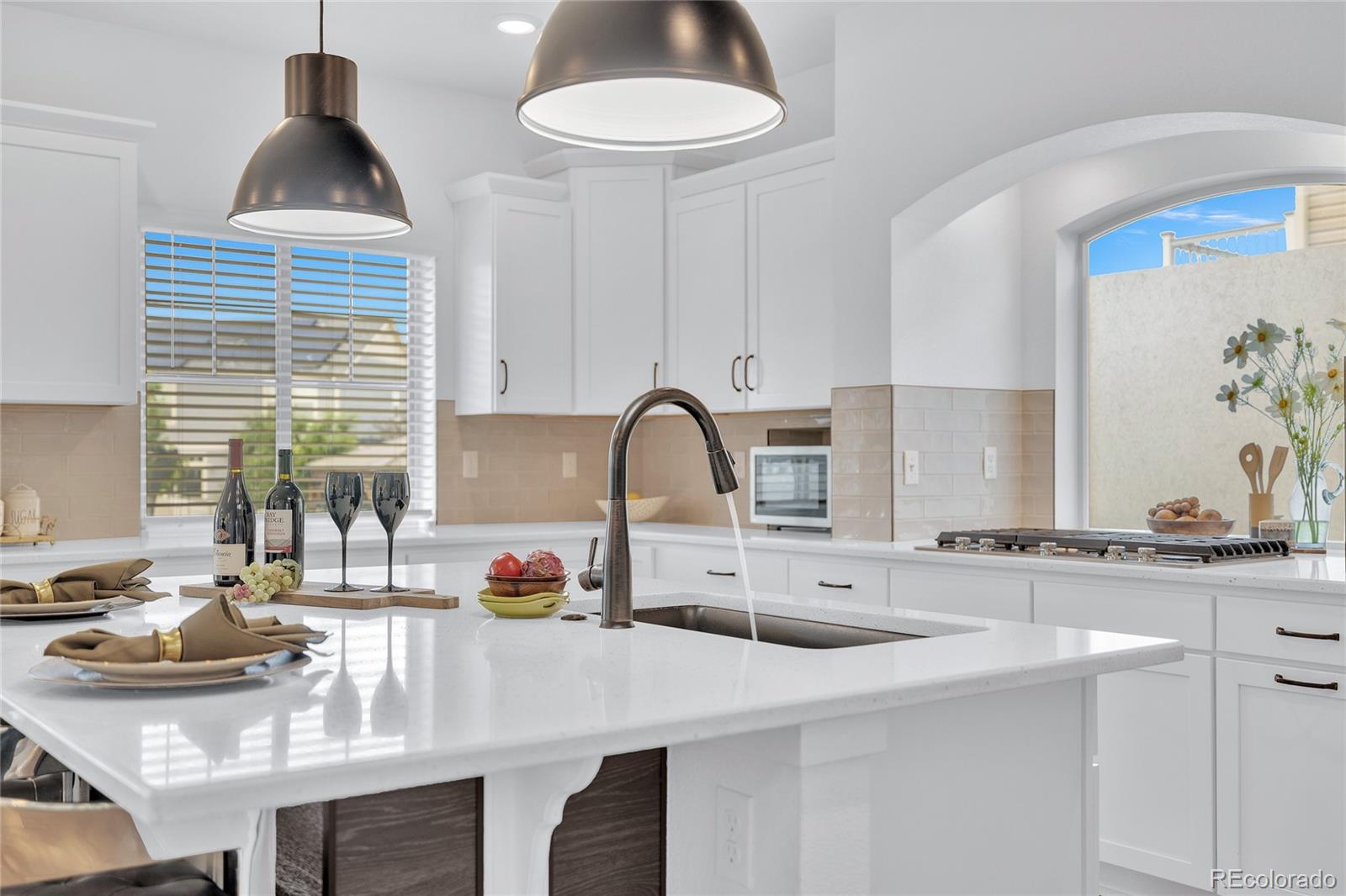 MLS Image #17 for 20750  beekman place,denver, Colorado