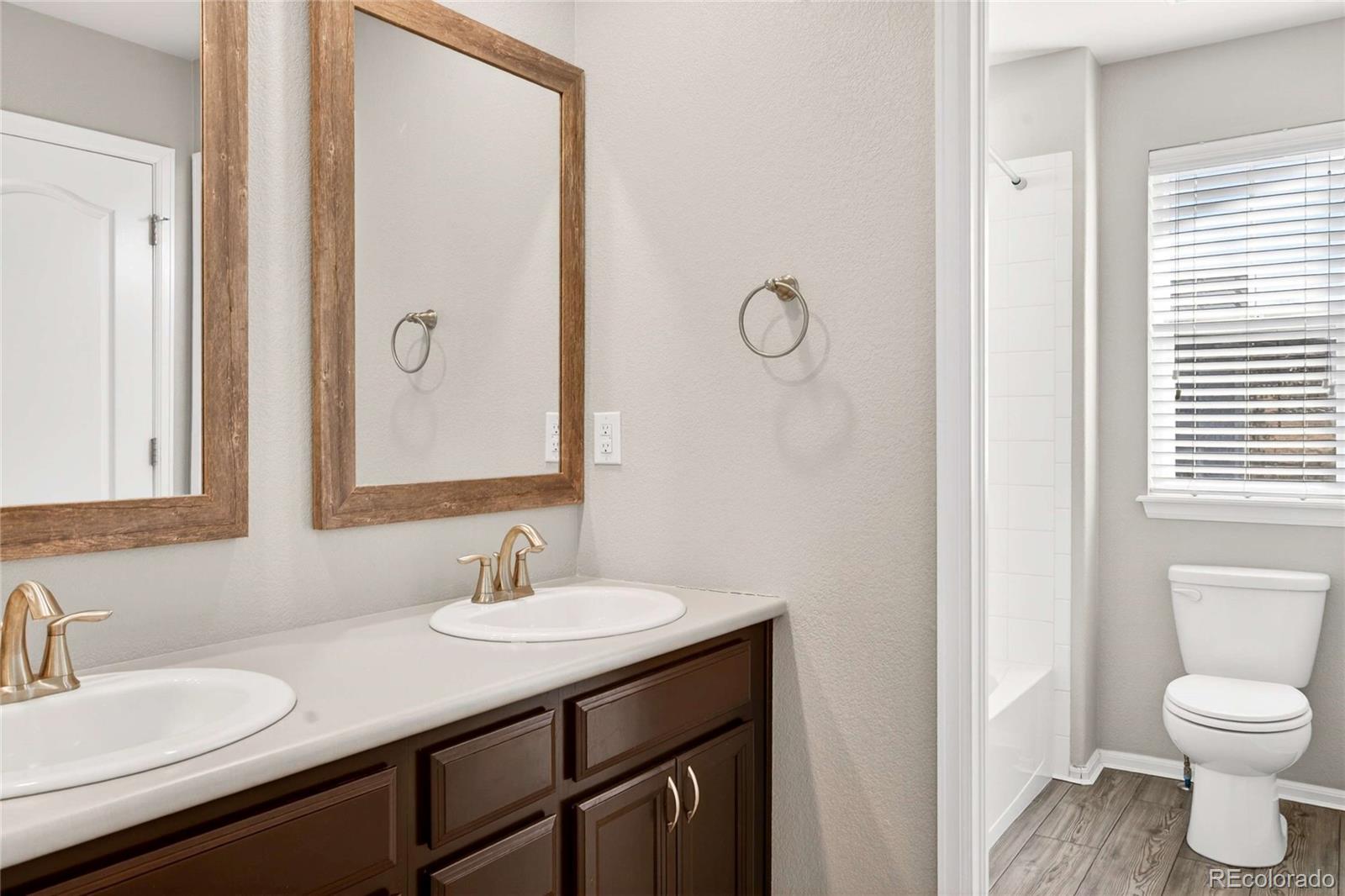 MLS Image #38 for 2571  ambience lane,castle rock, Colorado