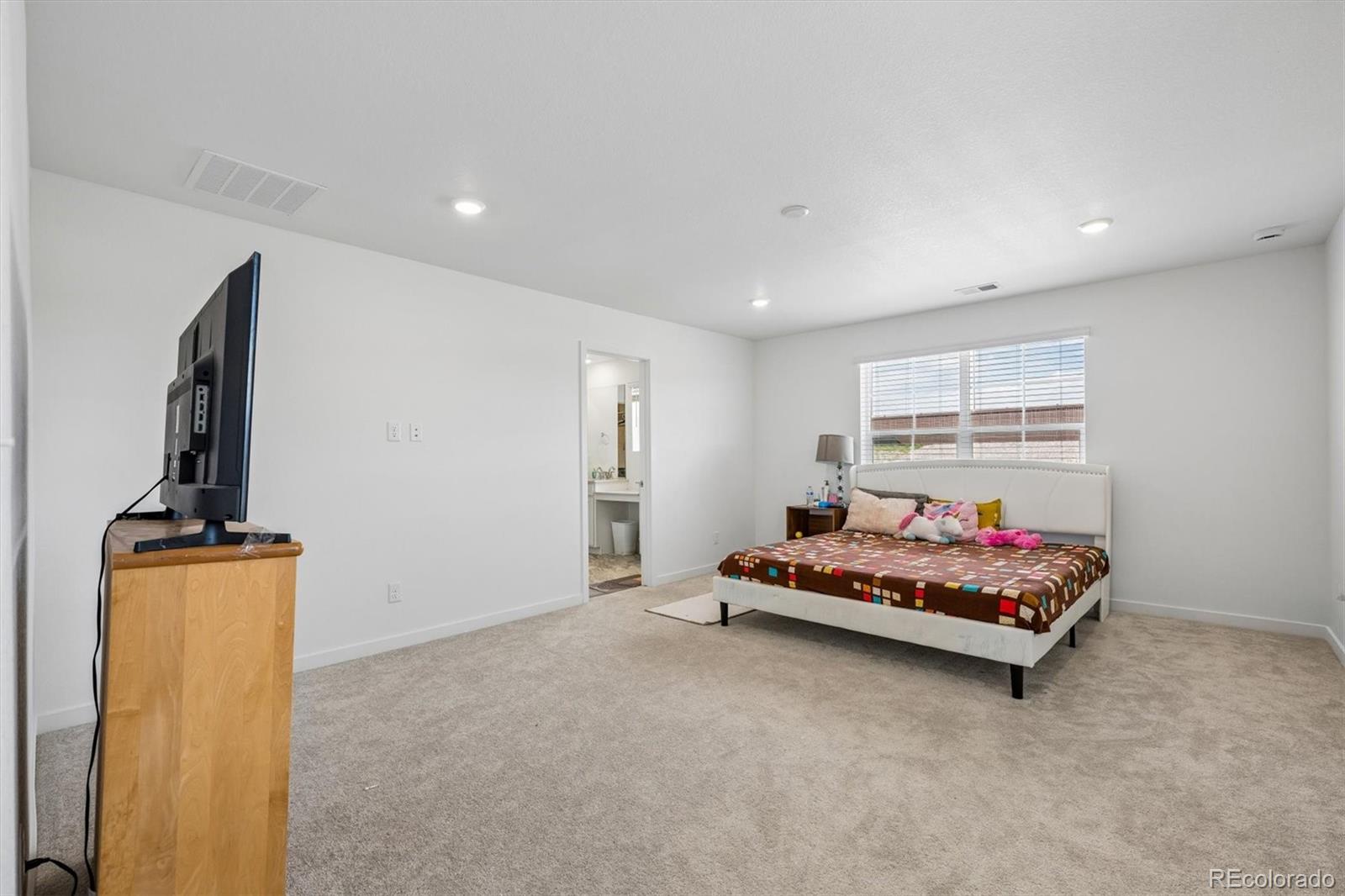 MLS Image #10 for 10976  snowdon street,parker, Colorado
