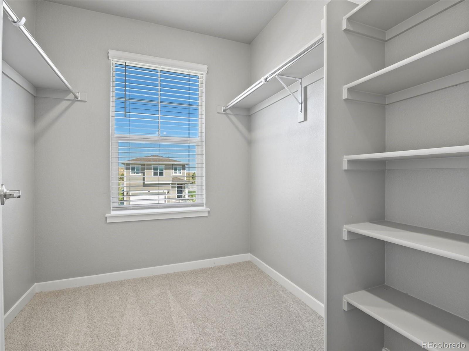 MLS Image #26 for 17932  dandy brush drive,parker, Colorado