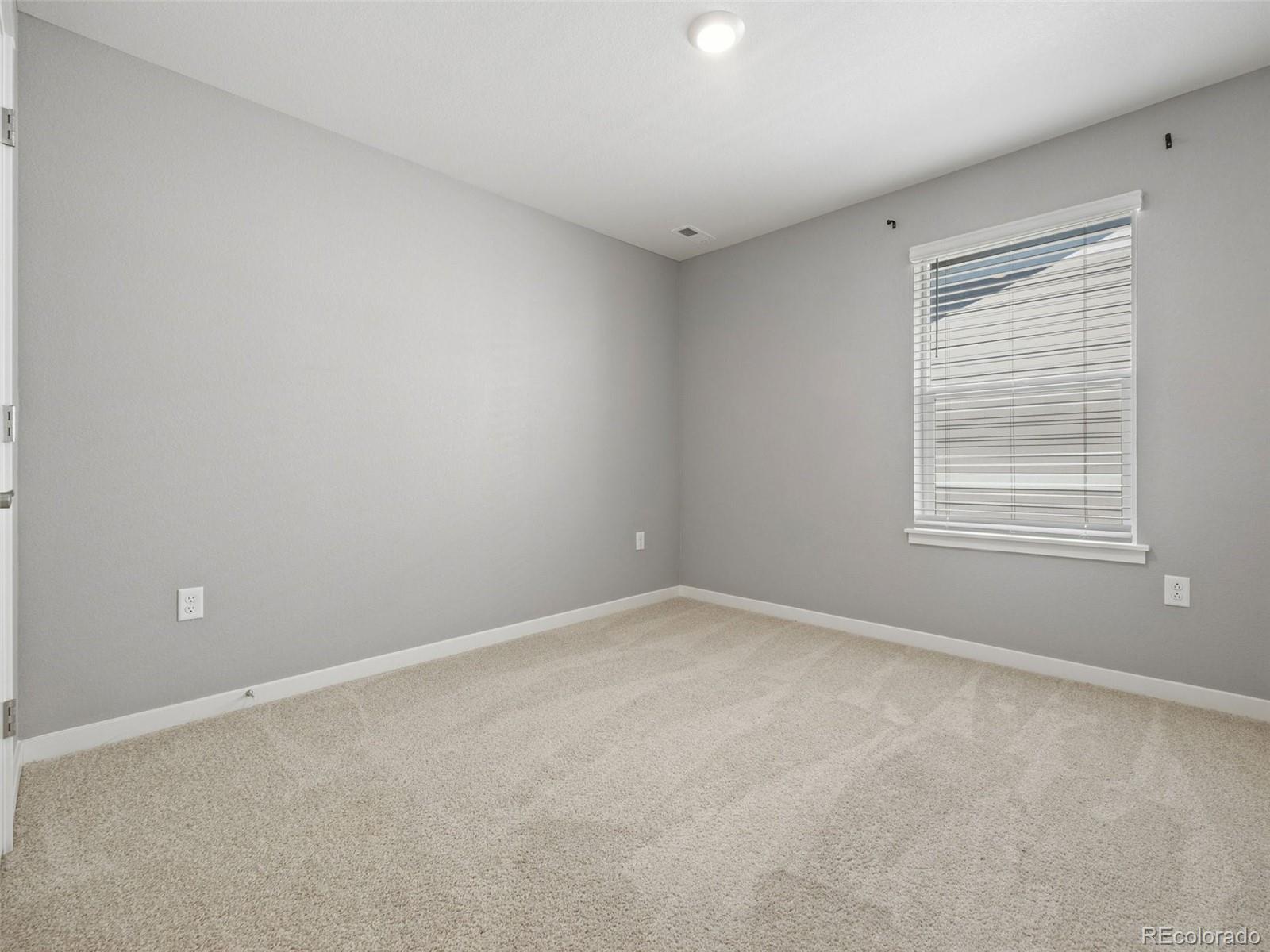 MLS Image #28 for 17932  dandy brush drive,parker, Colorado