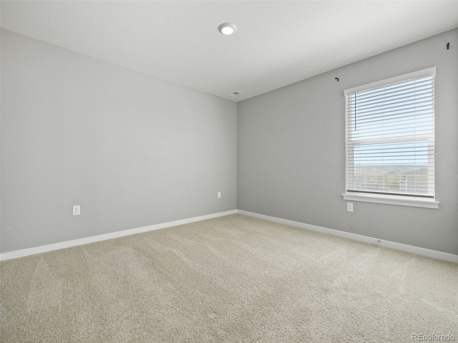 MLS Image #29 for 17932  dandy brush drive,parker, Colorado