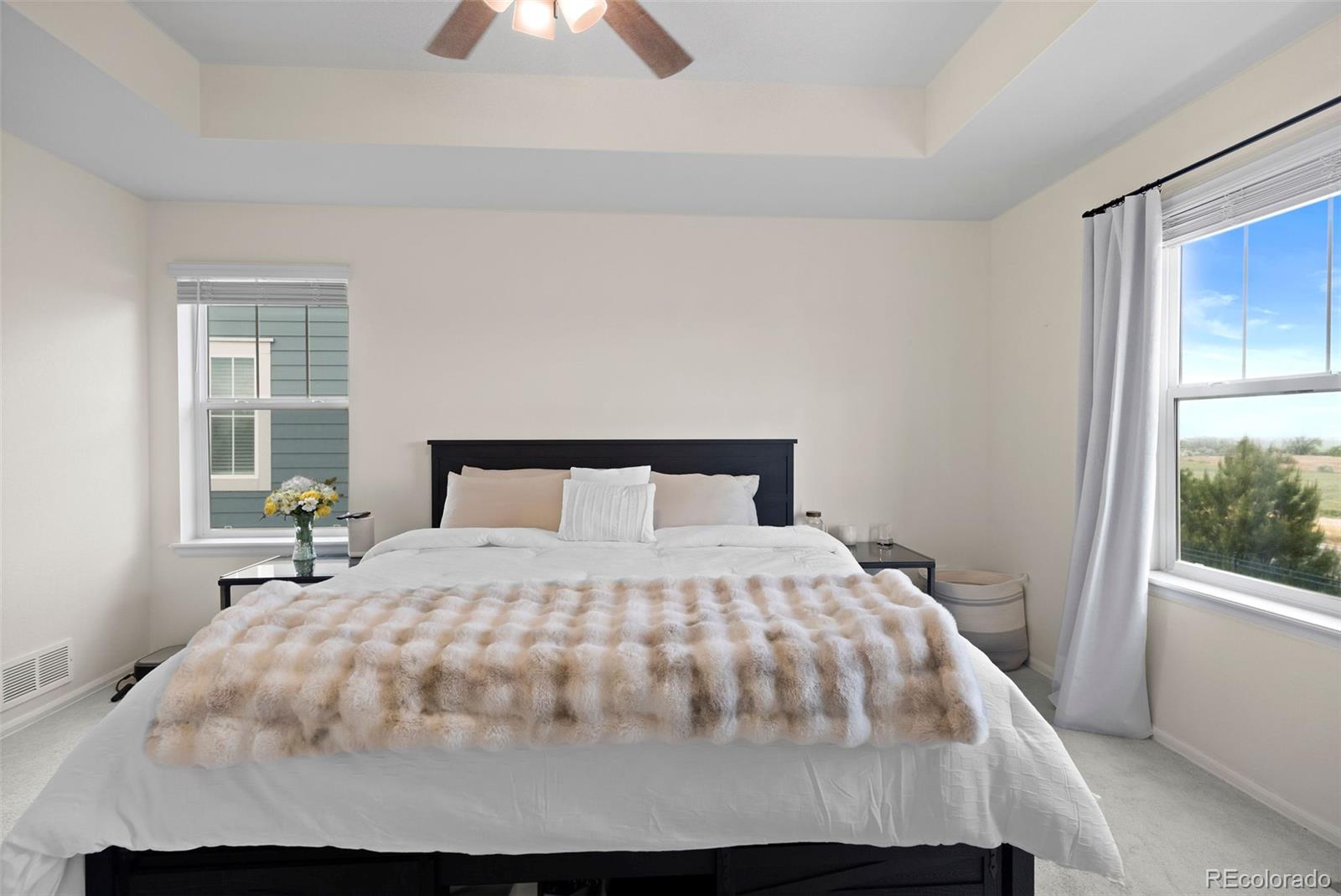 MLS Image #17 for 26361 e 5th place,aurora, Colorado