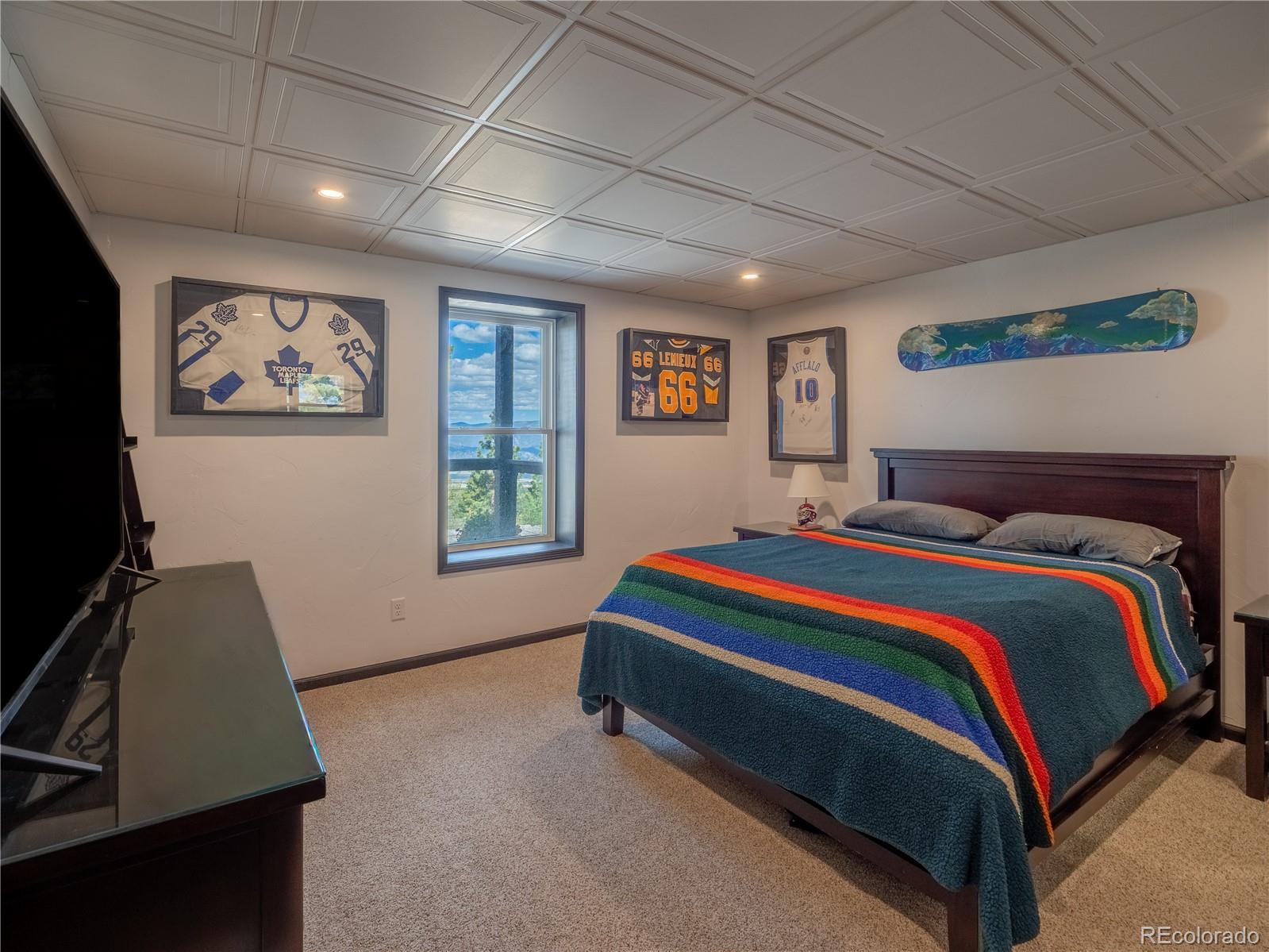 MLS Image #34 for 16874  county road 325 ,buena vista, Colorado