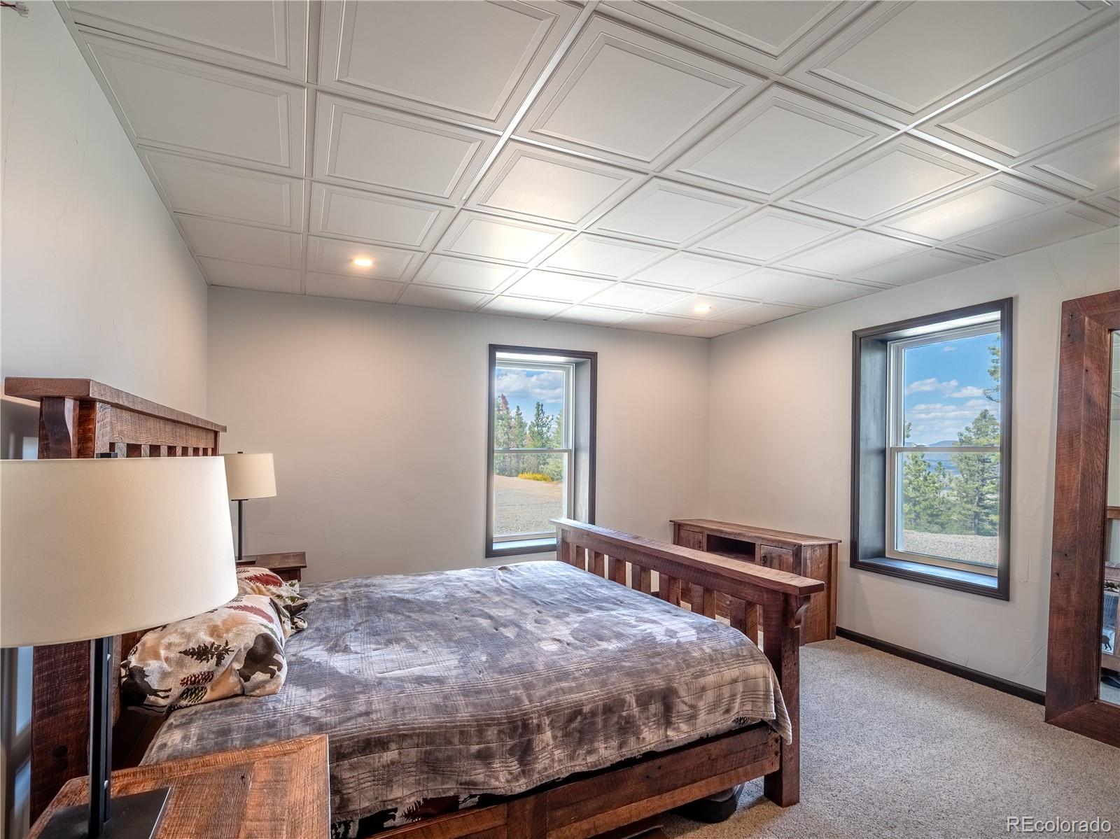 MLS Image #36 for 16874  county road 325 ,buena vista, Colorado