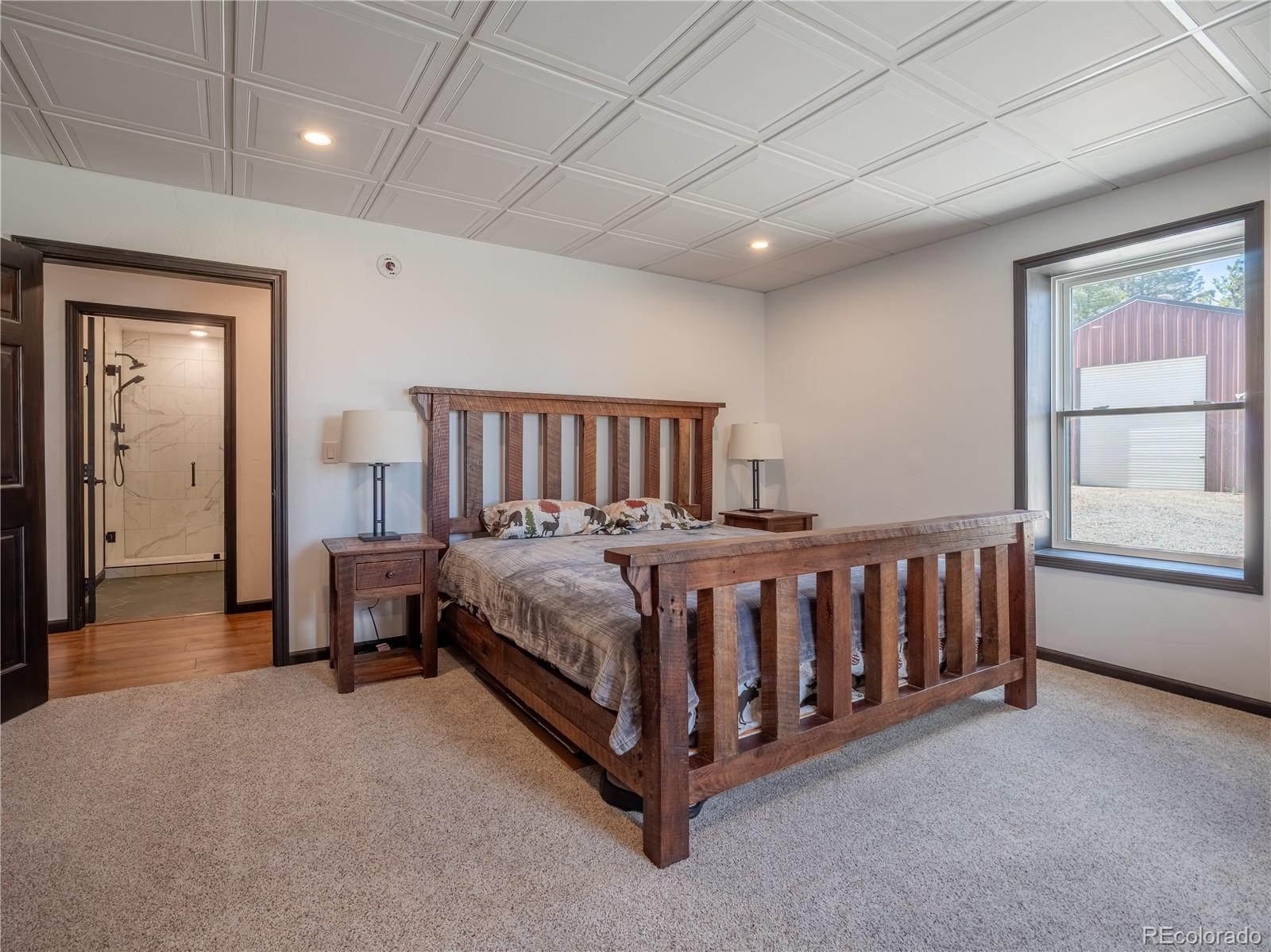 MLS Image #38 for 16874  county road 325 ,buena vista, Colorado