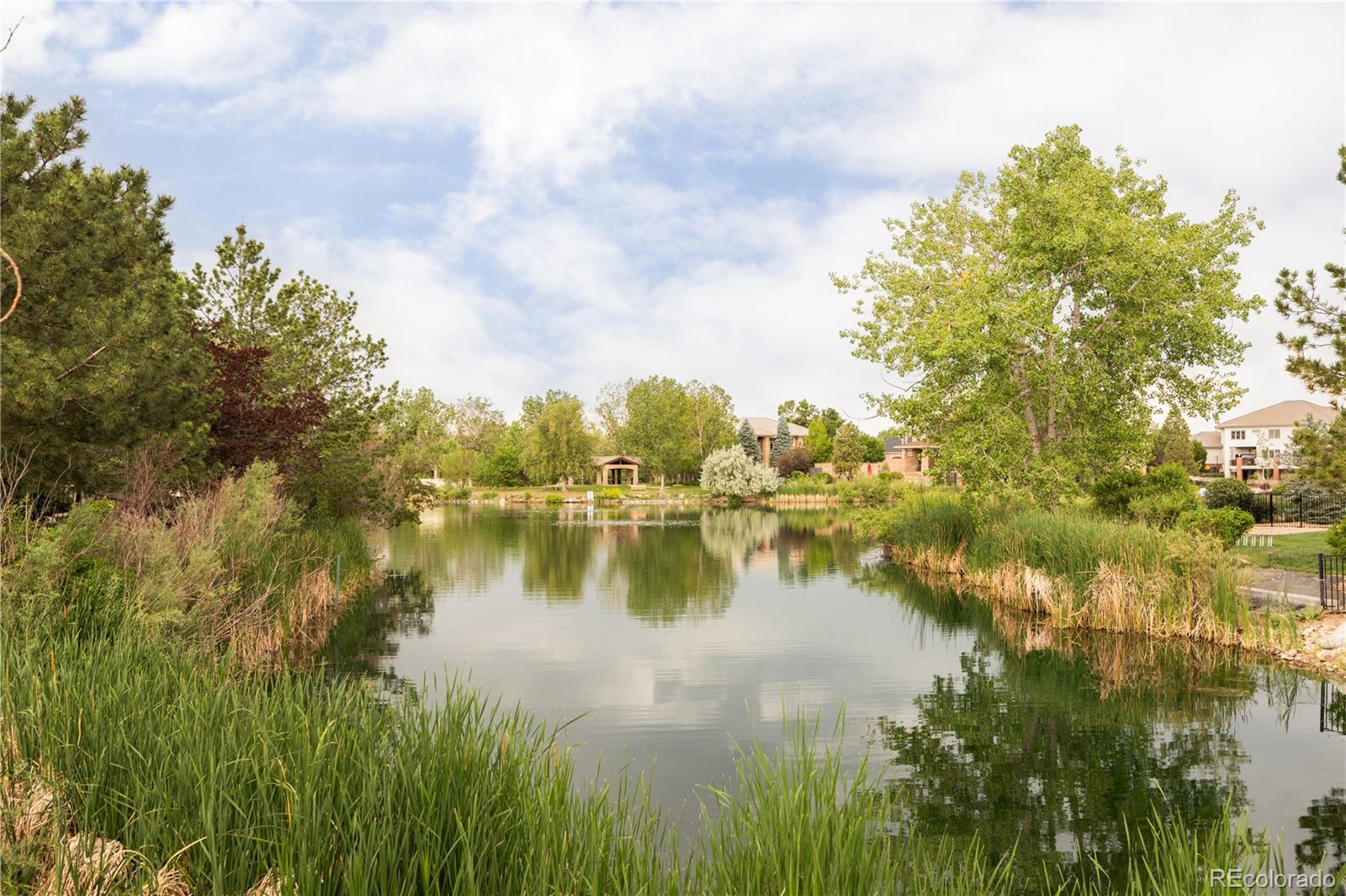 MLS Image #10 for 3  avocet circle,thornton, Colorado
