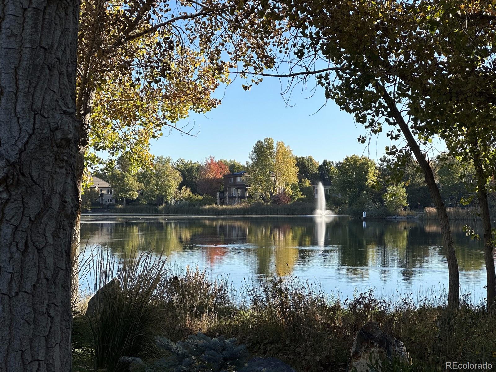 MLS Image #48 for 3  avocet circle,thornton, Colorado
