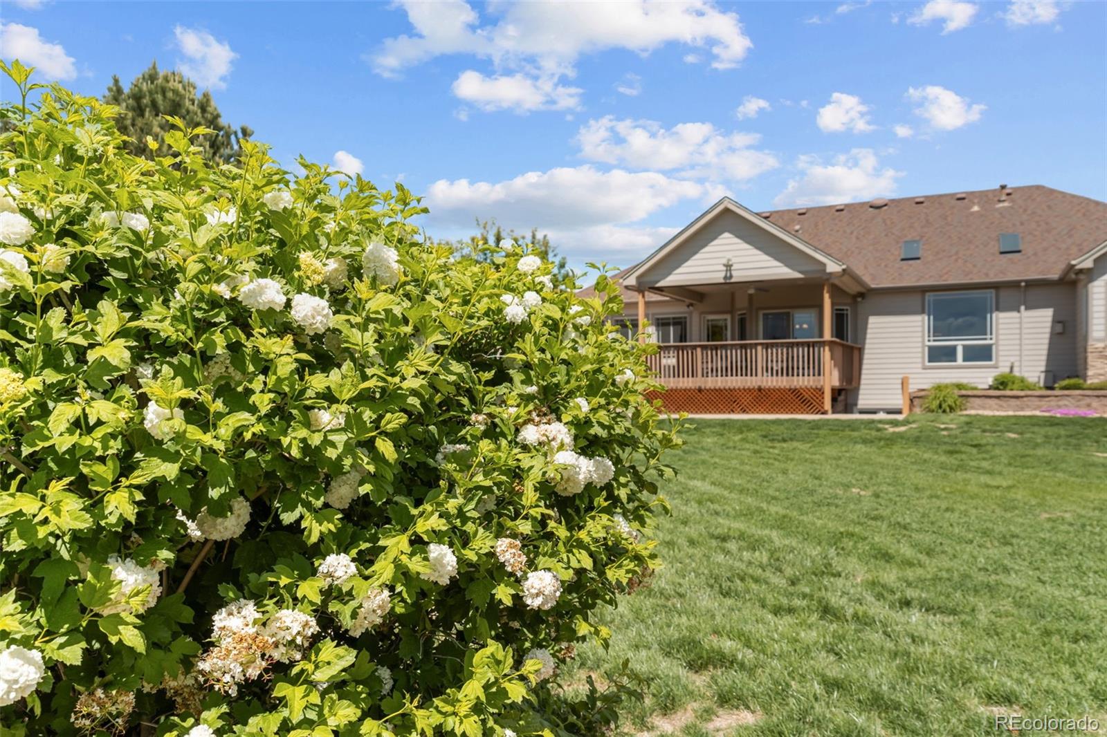 MLS Image #24 for 2024  trail ridge circle,eaton, Colorado