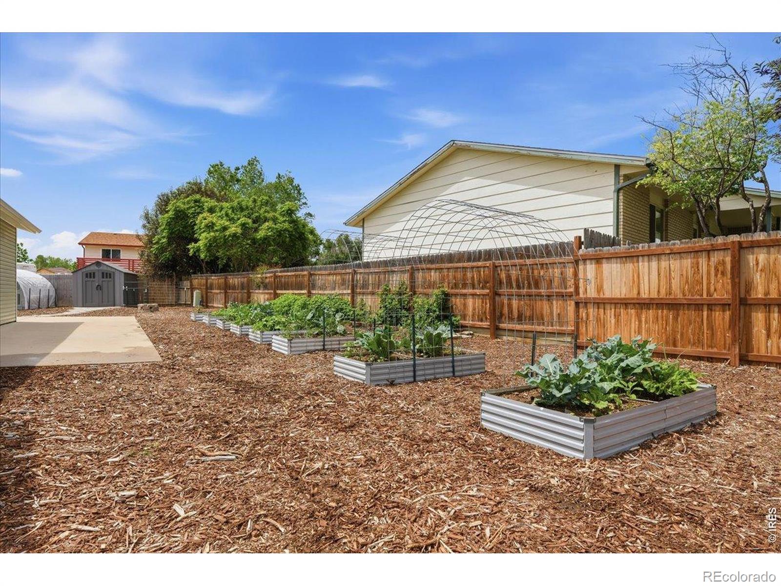 MLS Image #2 for 113  44th avenue,greeley, Colorado