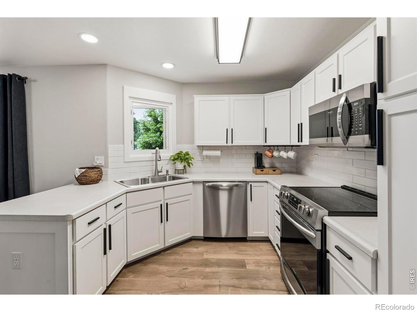 MLS Image #2 for 245  plum court,windsor, Colorado