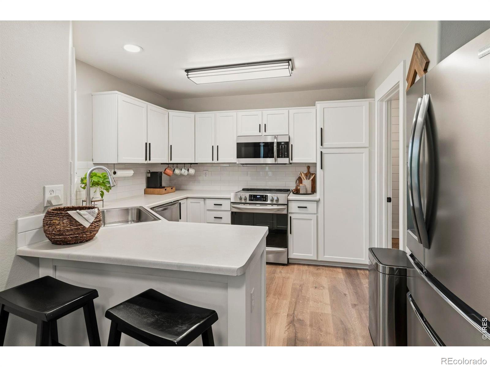 MLS Image #4 for 245  plum court,windsor, Colorado