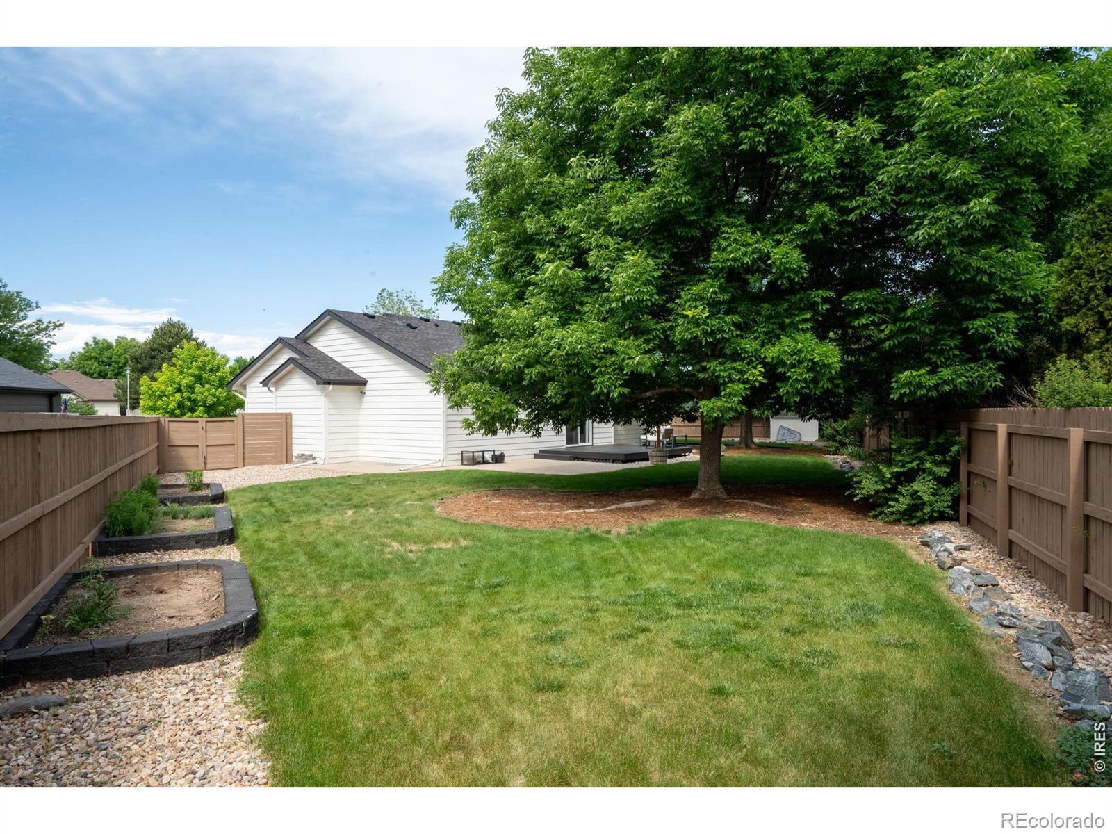 MLS Image #44 for 245  plum court,windsor, Colorado