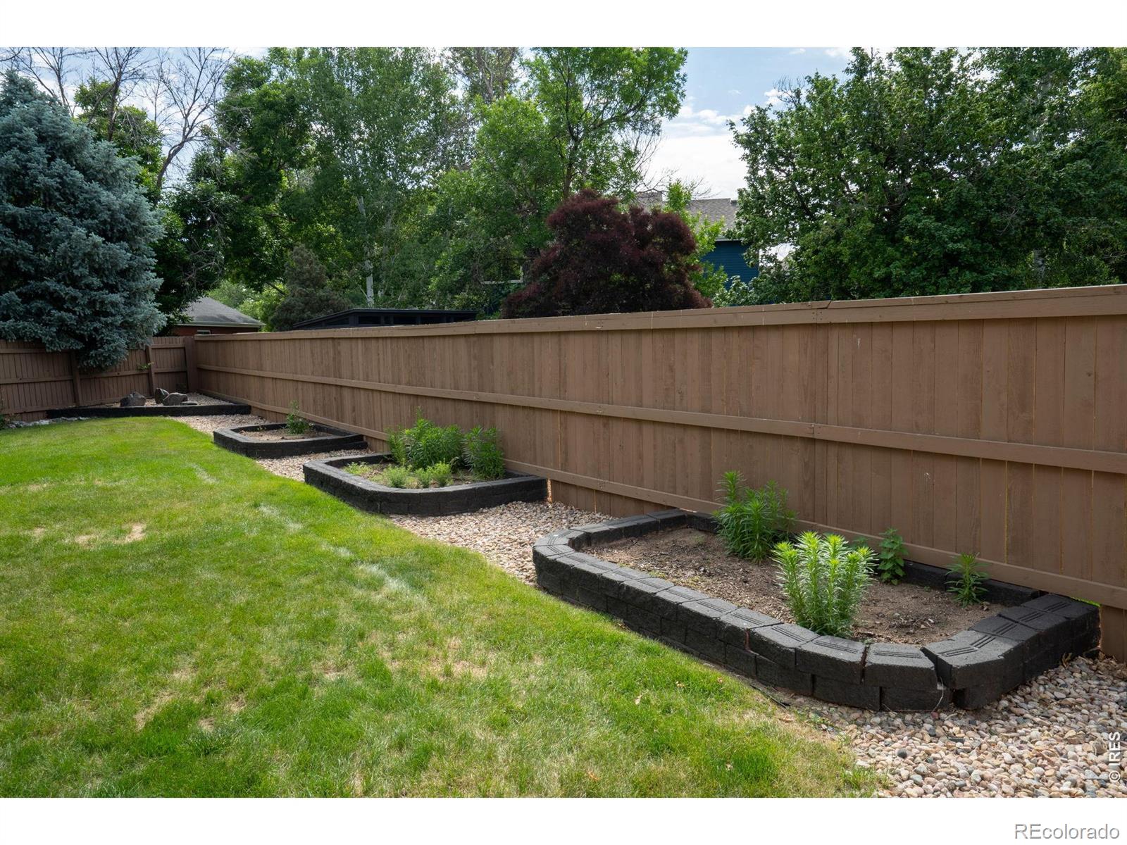 MLS Image #46 for 245  plum court,windsor, Colorado