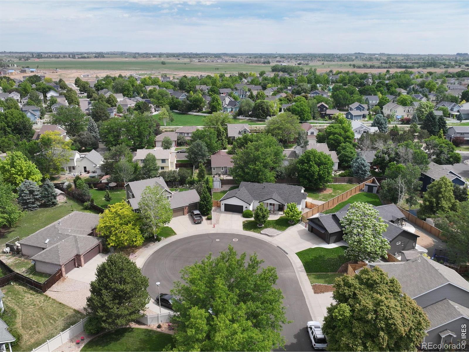 MLS Image #49 for 245  plum court,windsor, Colorado
