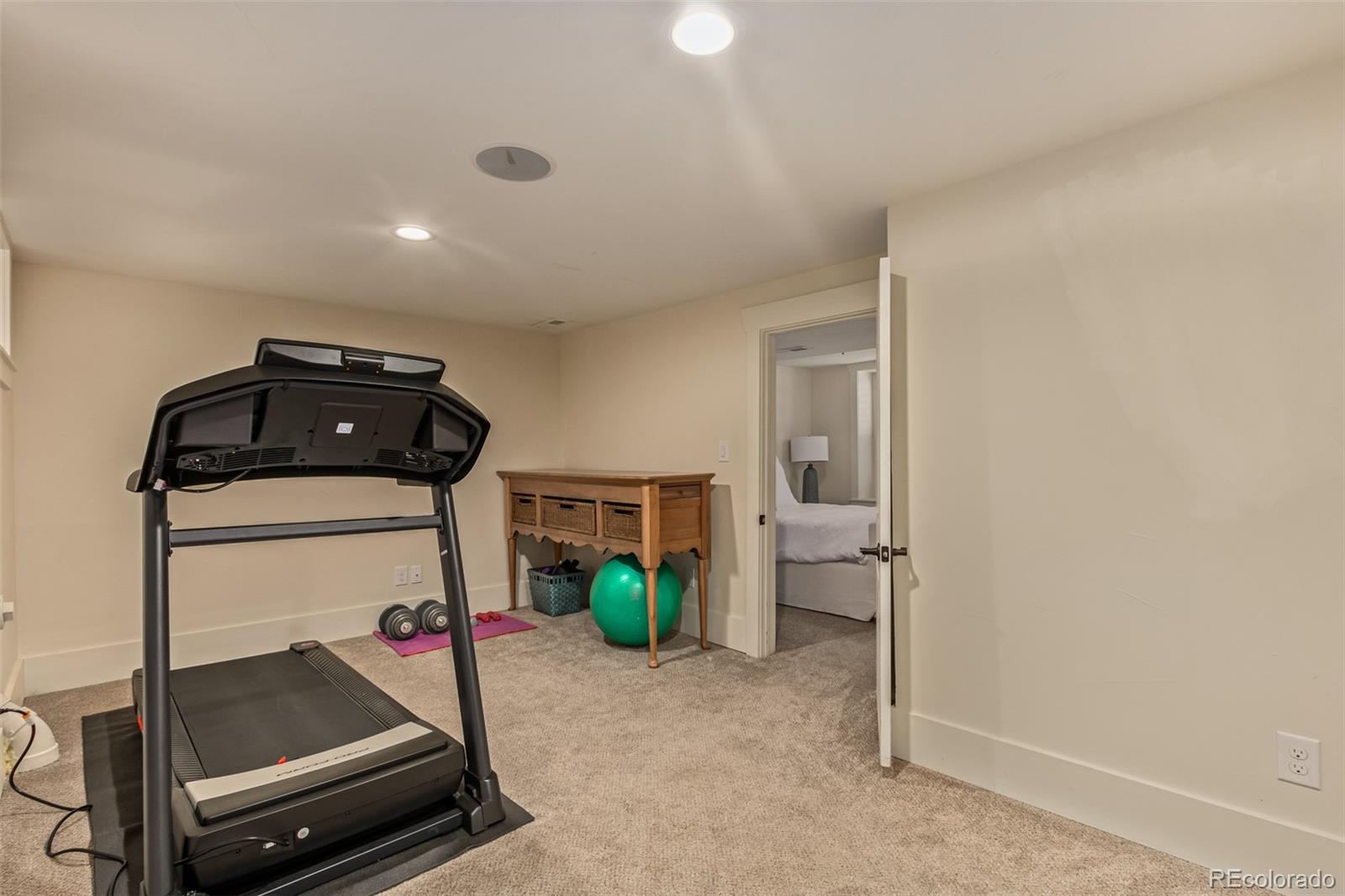 MLS Image #33 for 545 s race street,denver, Colorado