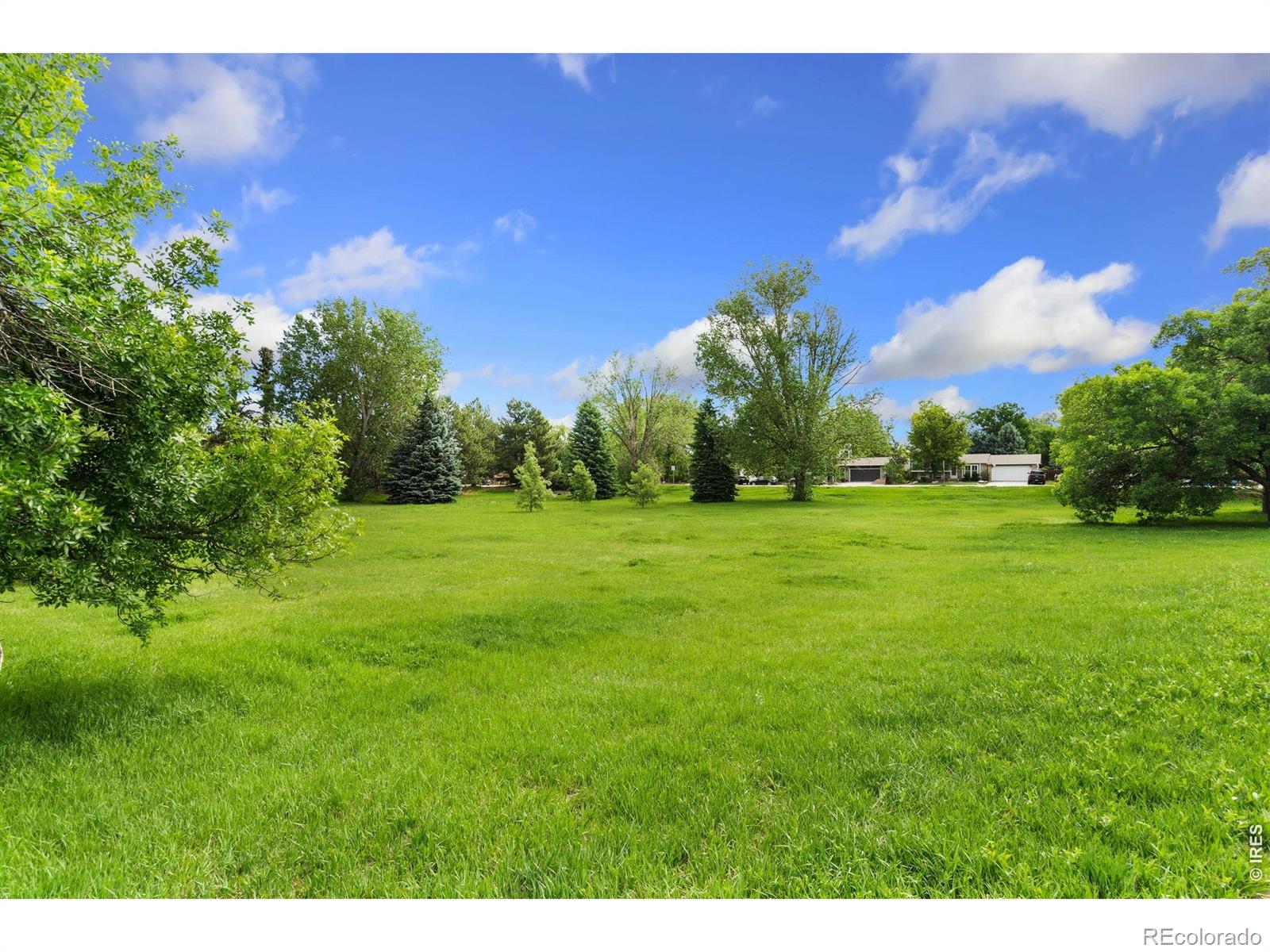 MLS Image #41 for 2519  antelope road,fort collins, Colorado