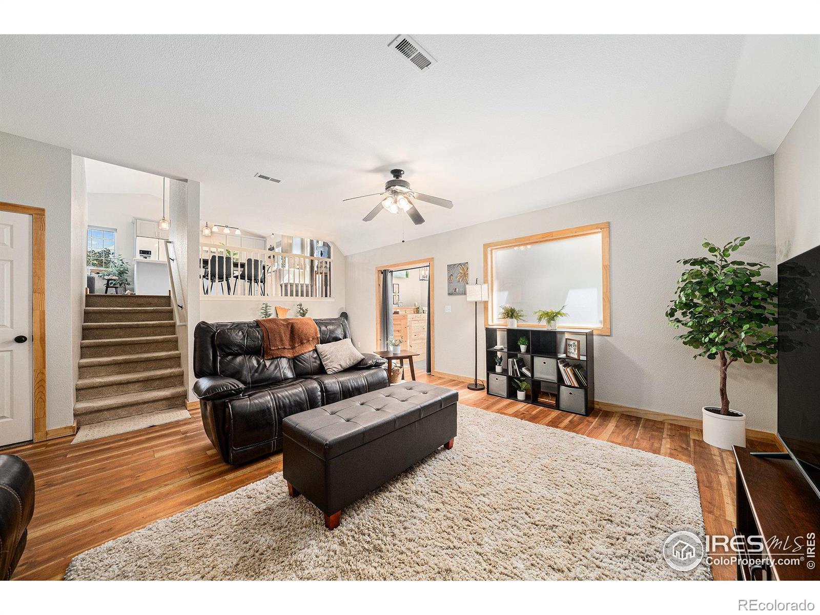 MLS Image #8 for 813  audubon boulevard,severance, Colorado