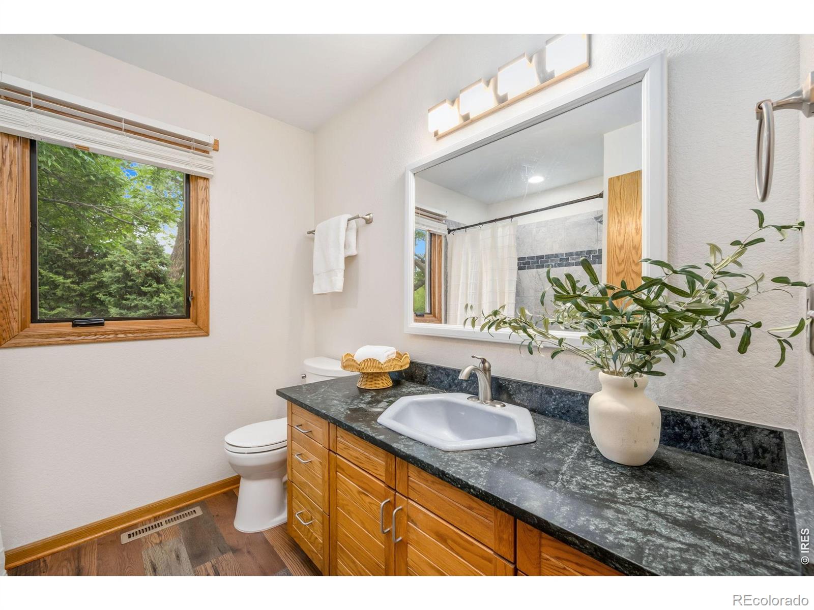 MLS Image #23 for 800  grove court,loveland, Colorado