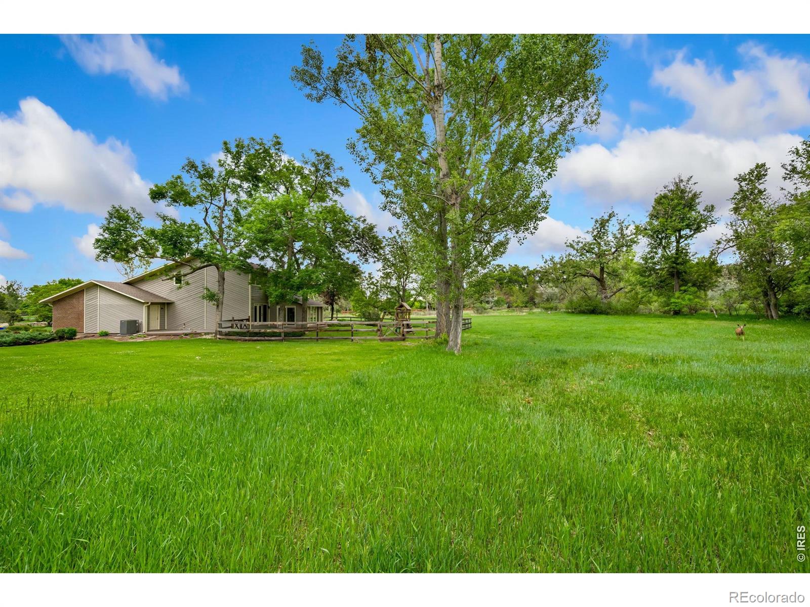 MLS Image #39 for 800  grove court,loveland, Colorado