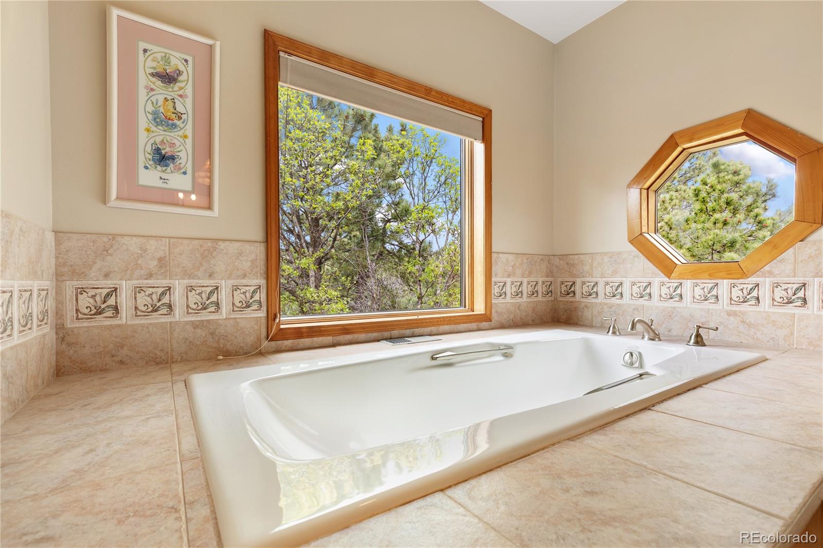MLS Image #12 for 1400  catamaran lane,monument, Colorado